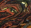 Polished Tiger Iron Stromatolite - ( Billion Years) #92823-1